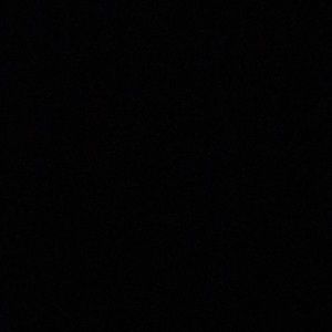 Meet your Posher, Will